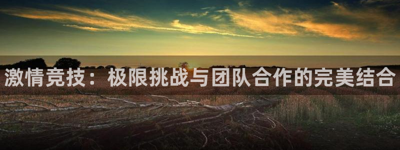 oety欧亿体育官网下载平台注册要钱吗安全吗：激情竞