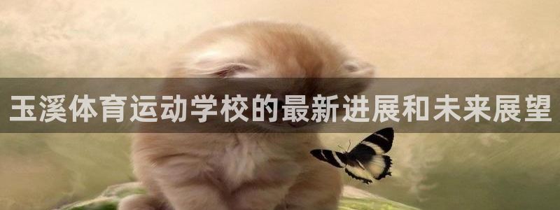 oety欧亿体育官网下载招商电话：玉溪体育运动学校的