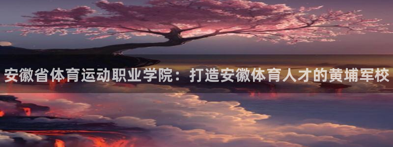 oety欧亿体育官网下载招商：安徽省体育运动职业学院