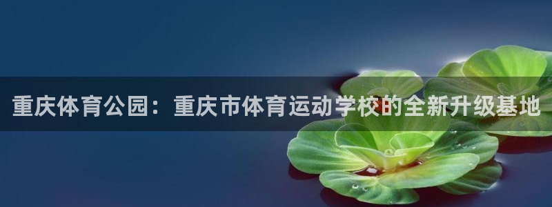 oety欧亿体育官网下载招商电话：重庆体育公园：重庆