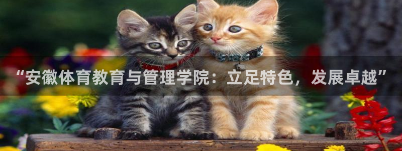 oety欧亿体育官网下载平台是正规平台吗：“安徽体育
