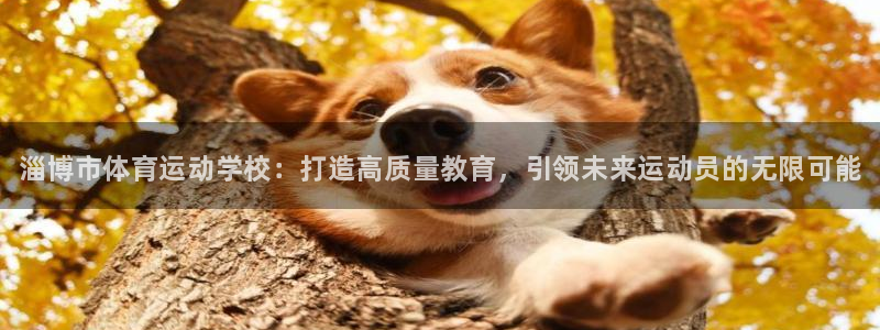 oety欧亿体育官网下载招商：淄博市体育运动学校：打