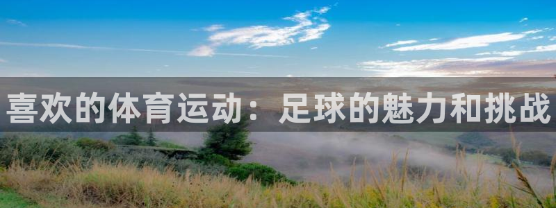 oety欧亿体育官网下载娱乐：喜欢的体育运动：足球的