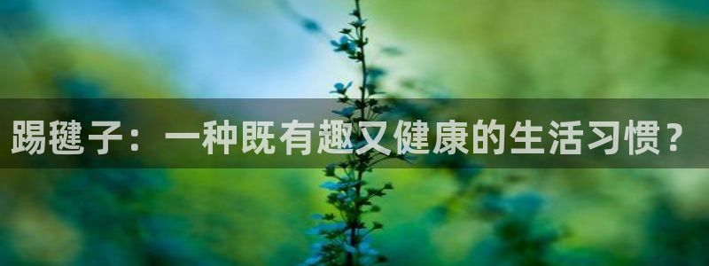 欧亿体育官方正版app集团官网首页网址：踢毽子：一种