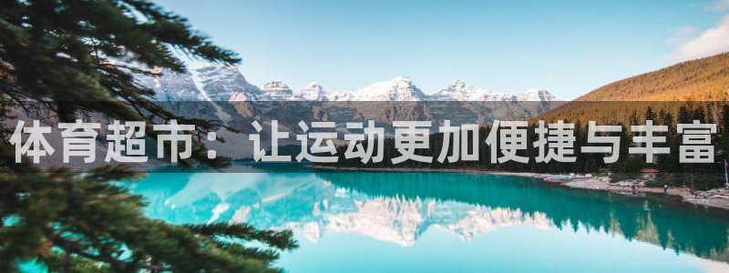 oety欧亿体育官网下载平台：体育超市：让运动更加便