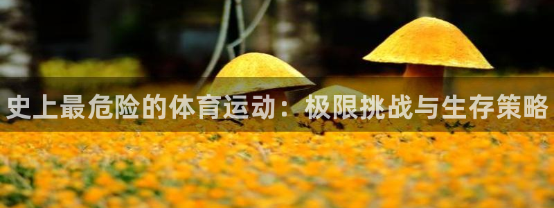 oety欧亿体育官网下载平台假的吗是真的吗吗：史上最