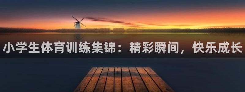欧亿体育官方正版app娱乐代理怎么样：小学生体育训练