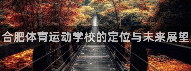 欧亿体育官方正版app娱乐网站：合肥体育运动学校的定位与未来