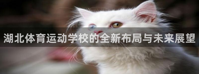oety欧亿体育官网下载招商电话号码查询是多少：湖北