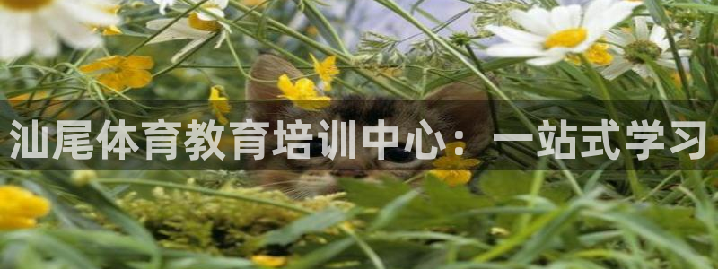 欧亿体育官方正版app集团E.ON：汕尾体育教育培训中心：一
